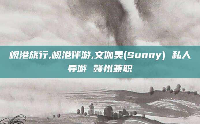红河岘港旅行,岘港伴游,文伽昊(Sunny) 私人导游 赣州兼职